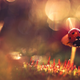 Illustration for article titled Wildlife photos that blur the line between reality and fantasy